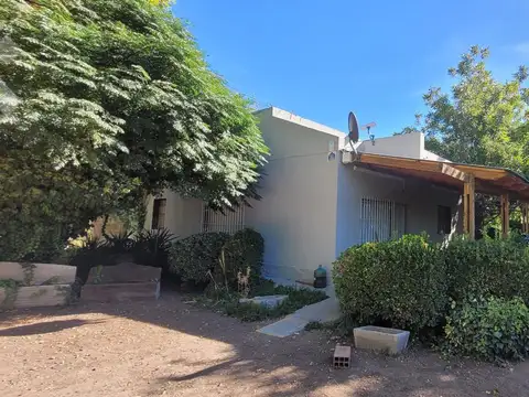 Venta Chacra 3,5Has. en Producción   Casa   Galpón - Allen -Rio Negro