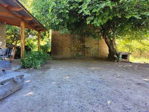Venta Chacra  con Residencia  Y Galpon en Allen 3,5has-  en Producción