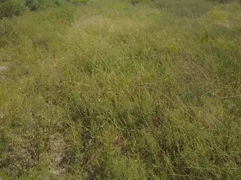 Venta 238 hectareas ganaderas. La Cabral
