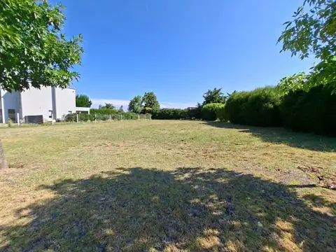 San Francisco - Villanueva 100