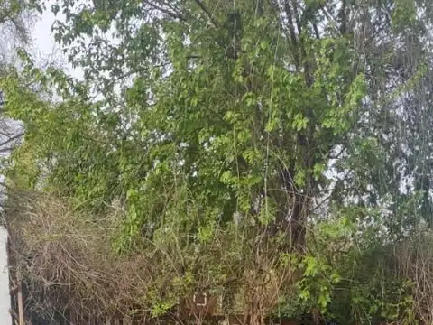 Terreno en Venta de 400,0 m2