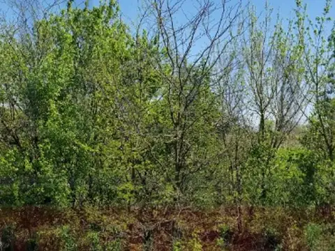 Campo en Venta de 94  ha