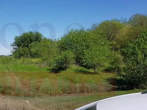 MUY BUEN CAMPO AGRÍCOLA DE 94 HAS, EN EL KM 51 DE RUTA 3