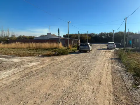 Los Jilgueros 100