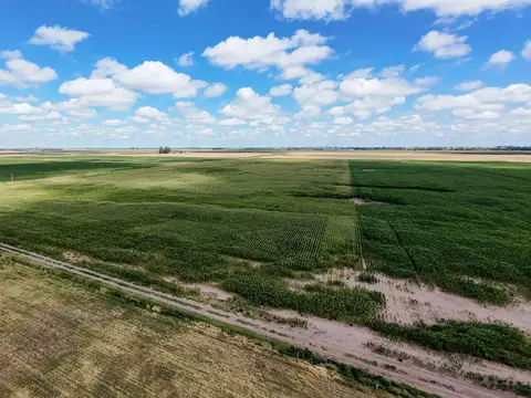 VENDE 13.5 HAS VT ACCESO POR RN Nº 33 y RN Nº 8