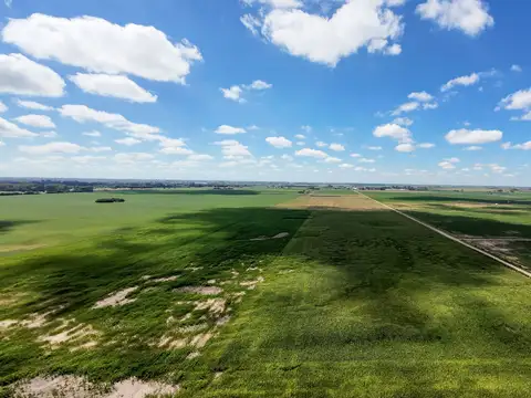 VENDE 13.5 HAS VT ACCESO POR RN Nº 33 y RN Nº 8