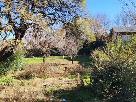 Av. Fuerza Aerea 500