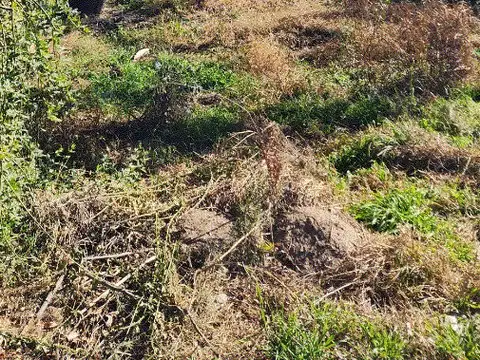 Terreno en Venta, FOT 30