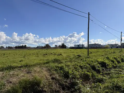 135 e 509 y 510 100
