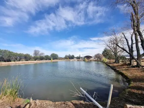 Venta Finca en funcionamiento en primera zona vitivinícola con pozo de agua