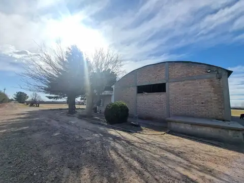 Venta Finca en funcionamiento en primera zona vitivinícola con pozo de agua