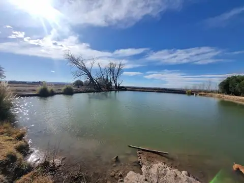 Venta Finca en funcionamiento en primera zona vitivinícola con pozo de agua