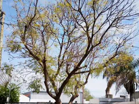 Galpón Comercial  - Depósito con fondo libre  vario rubro
