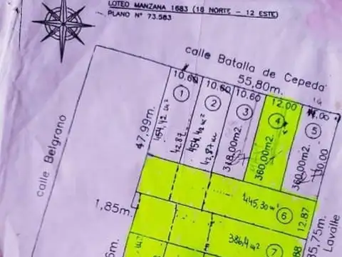 Batalla de Cepeda y Belgrano 100