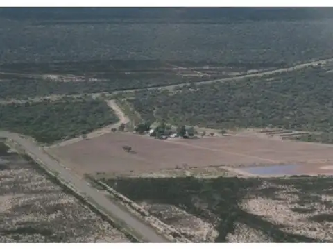 Oportunidad Única de Negocio: Venta de Campo