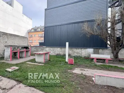 Gobernador Pedro Godoy 100