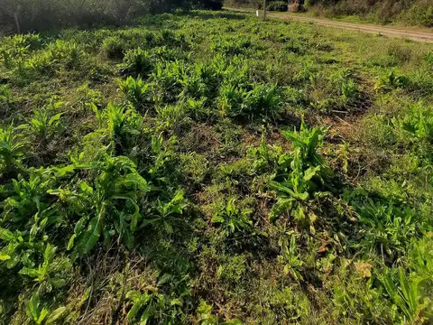 Terreno en Venta de 841,0 m2