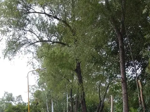Terreno / Lote en venta de 375m2 ubicado en Gualeguaychú