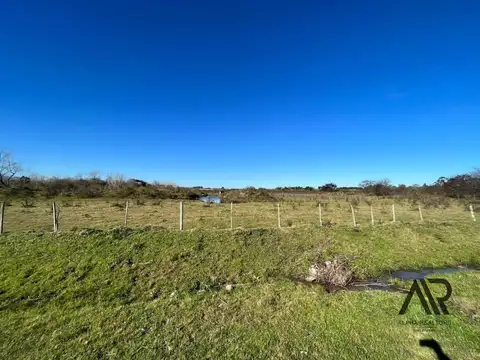 camino al paso hondo 100