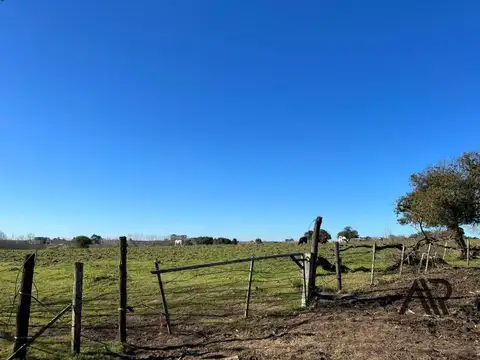 camino al paso hondo 100