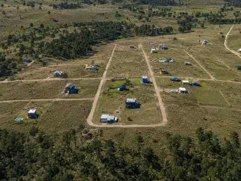 RP S271