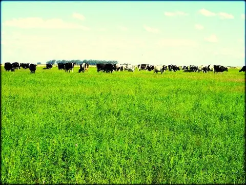 Zona Rural