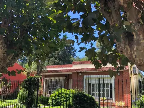 La golondrina al 1600