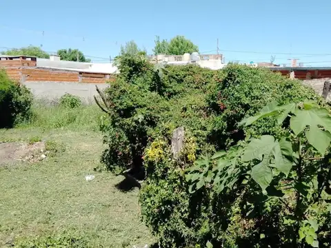 Galpón en Venta en San Pedro, Partido de San Pedro