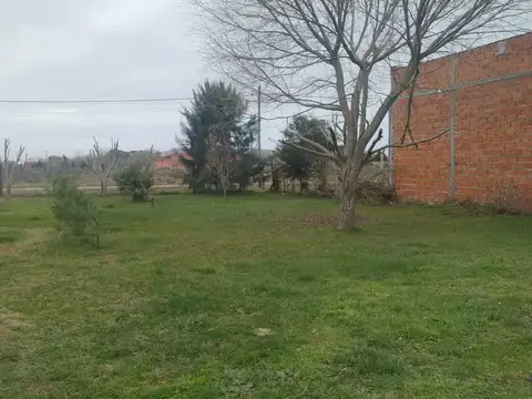 Fragata Trinidad 5000