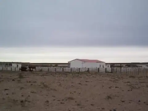 Campo - Biedma