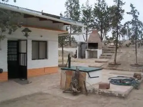 Campo - Biedma