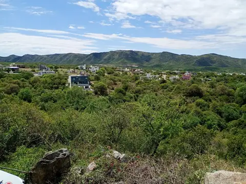 Tierralta 100
