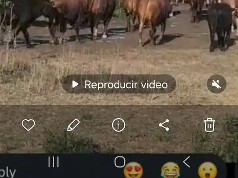 Campo Islas Victoria Entre Rios