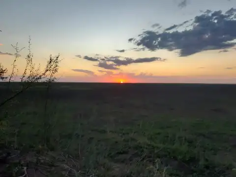 Campo en Victoria