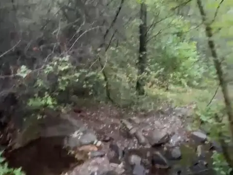 Terreno en Venta 39  mts Fondo