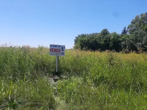 Campo en Venta en Roldan, San Lorenzo