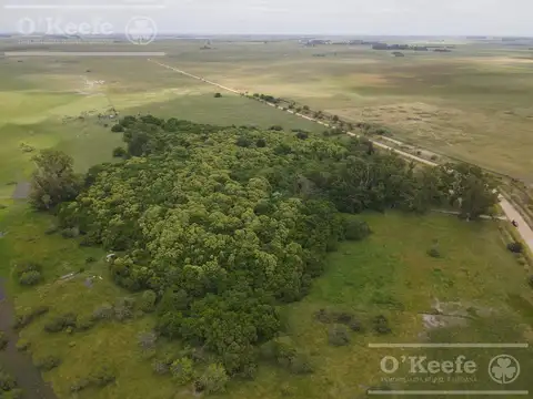 240 has en Chascomús - Campo Mixto
