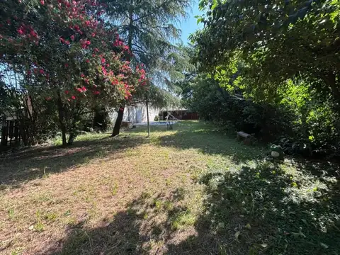 Juan Manuel De Rosas