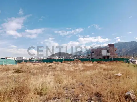 Regalado Olguín 900