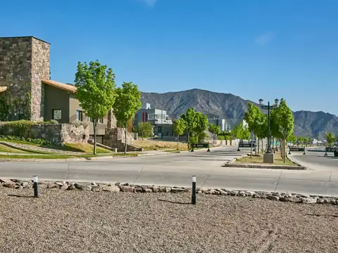Regalado Olguín 900