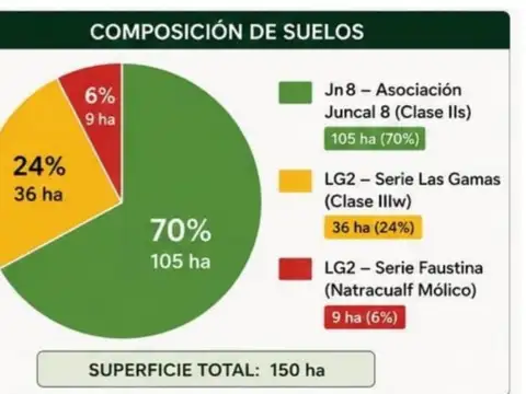 Consultar dirección