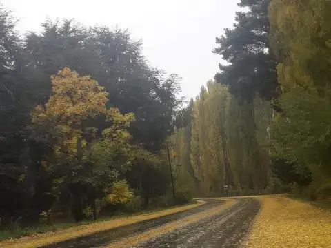 Terreno en Venta de 1000,0 m2