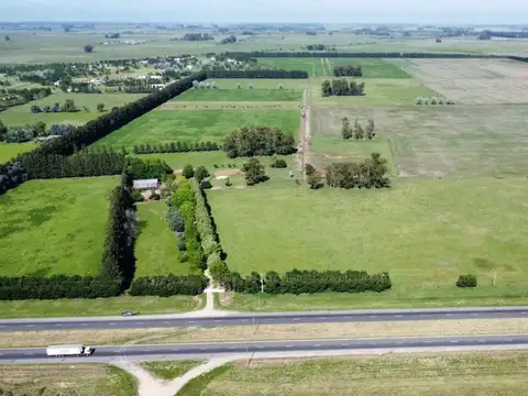 VENTA CAMPO 155 HECTAREAS PLOMER SOBRE RUTA 6