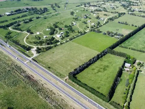 VENTA CAMPO 155 HECTAREAS PLOMER SOBRE RUTA 6