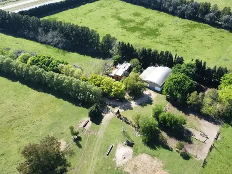 VENTA CAMPO 155 HECTAREAS PLOMER SOBRE RUTA 6