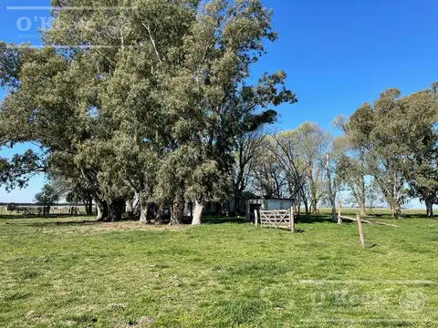 Campo en venta de 1150 has en Formosa. Cerca de Ruta Nac. 11