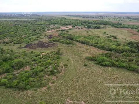 Campo en venta de 1150 has en Formosa. Cerca de Ruta Nac. 11