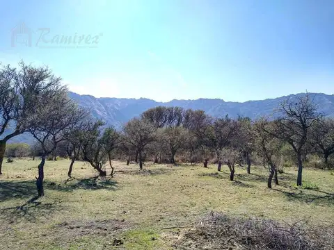 Terreno en Venta 19  mts Fondo