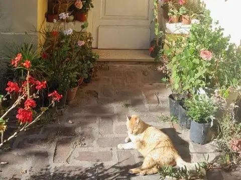 La Plata