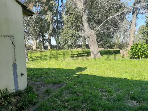 Lote en esquina de 50x50 en Sicardi